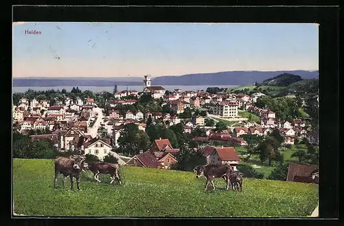 AK Heiden, Ortsansicht mit Kuhweide