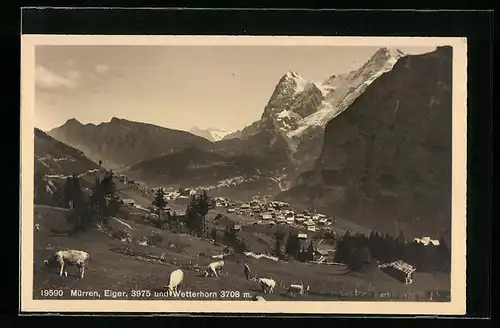 AK Mürren, Gesamtansicht mit Eiger und Wetterhorn