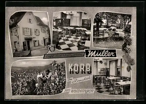 AK Korb /Remstal, Ortsansicht mit Weinlese, Gasthaus Müller mit Garten