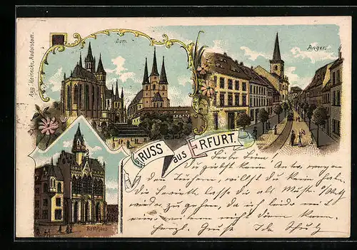 Lithographie Erfurt, Dom, Anger, Rathhaus