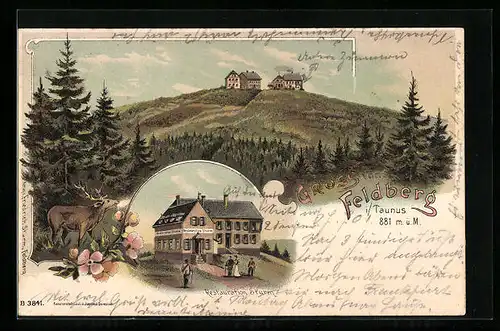 Lithographie Feldberg /Taunus, Feldberg mit Restauration Sturm, Röhrender Hirsch