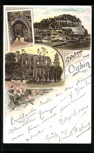 Lithographie Oybin, Ortsansicht, Kirchruine, Kreuzgang