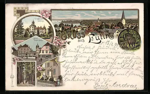 Lithographie Eutin, Grossherz. Schloss, Hotel Voss-Haus, Voss-Denkmal, Ortsansicht