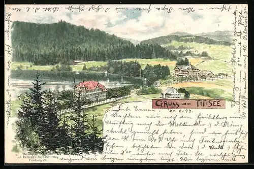 Lithographie Titisee, Totalansicht der Ortschaft