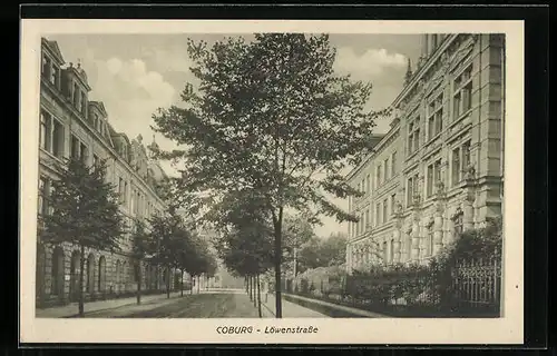 AK Coburg, Häuser in der Löwenstrasse