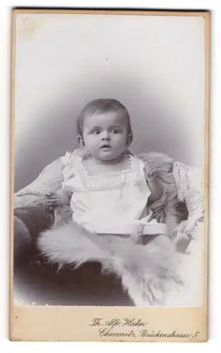 Fotografie Th. Alfr. Hahn, Chemnitz, niedliches Kleinkind im Kleidchen auf Fell sitzend