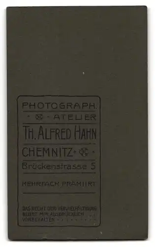 Fotografie Th. Alfred Hahn, Chemnitz, Ehepaar im Kleid und im Anzug mit Moustache