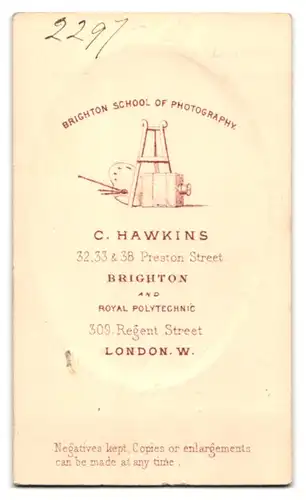 Fotografie C. Hawkins, Brighton, englischer Herr im Anzug mit Walrossbart, Seitenprofil