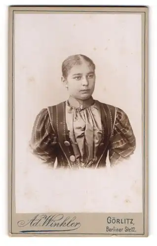 Fotografie Ad. Winkler, Görlitz, junge Frau im gestreiften Kleid mit Brosche