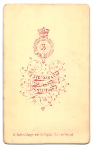 Fotografie F. Stephan & Co., Winterthur, Herr im grauen Anzug mit Fliege und Moustache