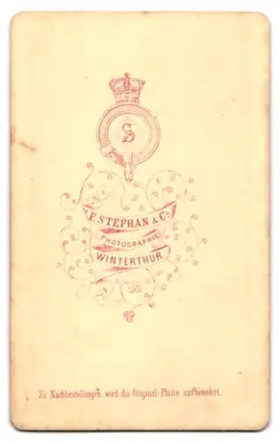 Fotografie F. Stephan & Co., Winterthur, Dame im bestickten Kleid mit Ohrringen und Halskette