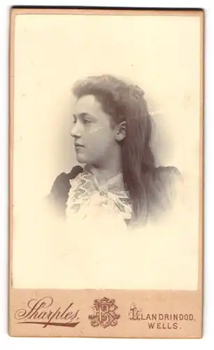 Fotografie Sharples, Llandrindod, junge Waliserin im Kleid mit langen offenen Haaren