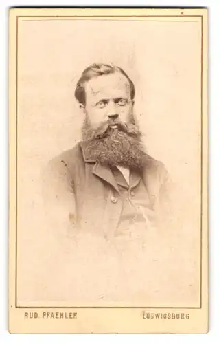 Fotografie Rud. Pfaehler, Ludwigsburg, Mann im grauen Anzug mit voluminösem Vollbart