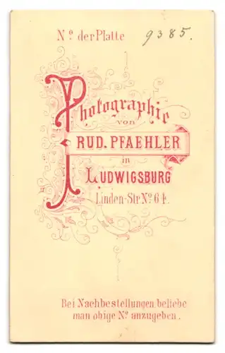 Fotografie Rud. Pfaehler, Ludwigsburg, Mann im grauen Anzug mit voluminösem Vollbart