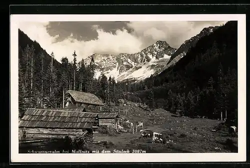 AK Mallnitz, Schwussneralm mit dem Säuleck