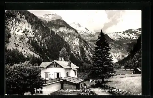 AK Mallnitz, Gasthaus und Pension Alpenrose mit Ankogel