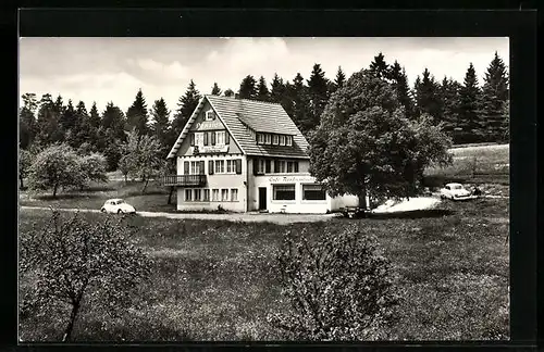 AK Dottenweiler /Kreis Freudenstadt, Cafe-Pension Wiesenhof
