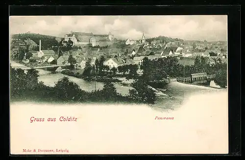 AK Colditz, Panorama des Ortes