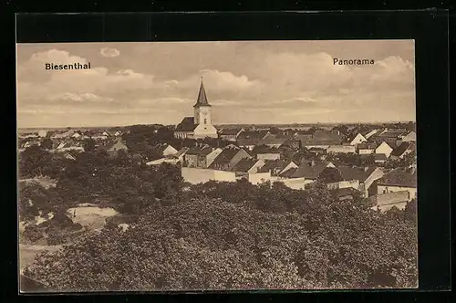AK Biesenthal, Panorama der Ortschaft
