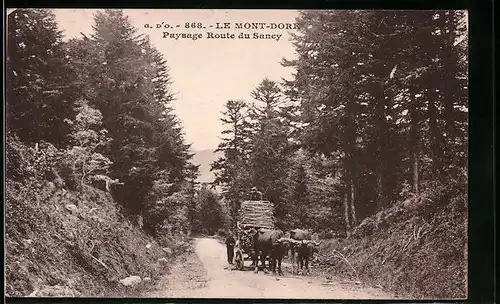 AK Le Mont-Dore, Paysage Route du Sancy
