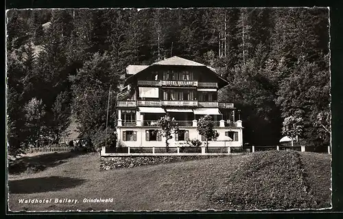 AK Grindelwald, Waldhotel Bellary, Gebäudeansicht