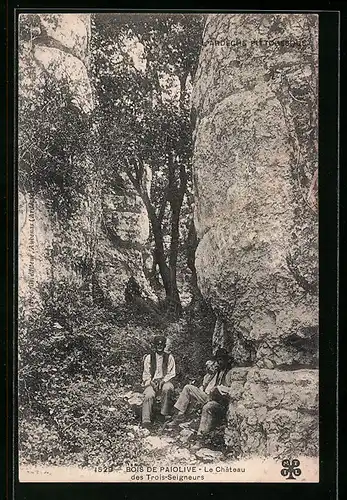 AK Bois de Paiolive, Le Chateau des Trois-Seigneurs