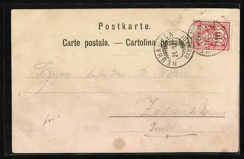 AK Der Rheinfall bei Schaffhausen