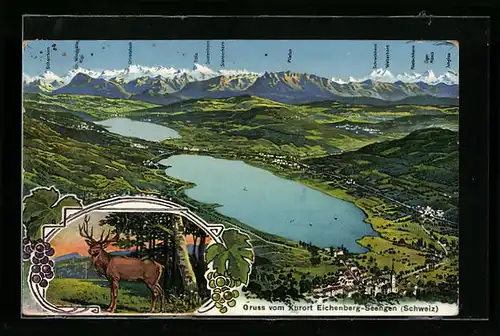 Künstler-AK Seengen, Ortsansicht vom Hotel Eichenberg