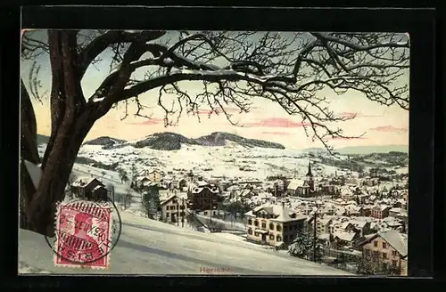 AK Herisau, Ortsansicht aus der Vogelschau im Winter