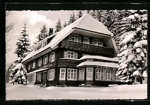 AK Menzenschwand /Schwarzw., Gasthaus-Pension Waldeck W. Kapferer im Winter