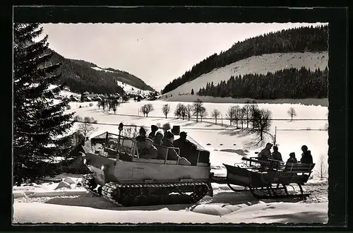 AK Menzenschwand /Schwarzw., Kettenfahrzeug Schneewiesel mit Schlitten unterwegs zum Feldberg