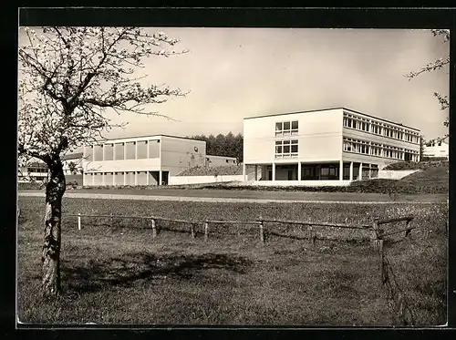 AK Wilhelmsdorf b. Ravensburg, Neue Volksschule