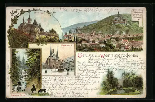Lithographie Wernigerode a. Harz, Schloss, Rathaus, Steinerne Renne