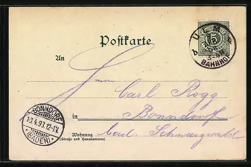 Lithographie Ulm, Blick auf das Münster, Panorama von Süden mit Donau