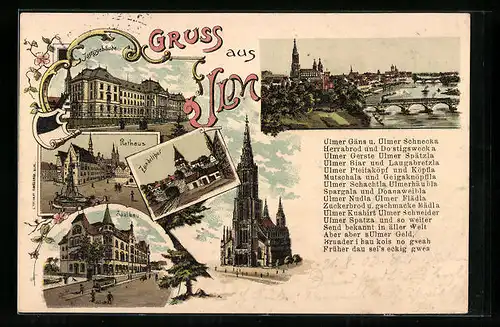 Lithographie Ulm / Donau, Zundelthor, Justizgebäude, Rathaus, Saalbau