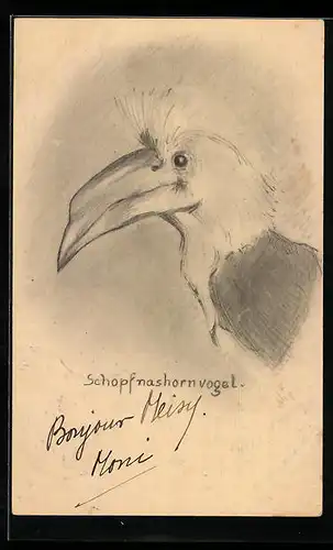 Künstler-AK Handgemalt: Studie eines Schopfnashornvogels