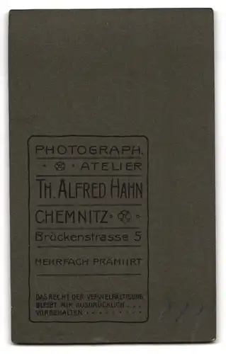 Fotografie Th. Alfred Hahn, Chemnitz, Brückenstrasse 5, Bürgerlicher mit Vollbart im Dreiteiler