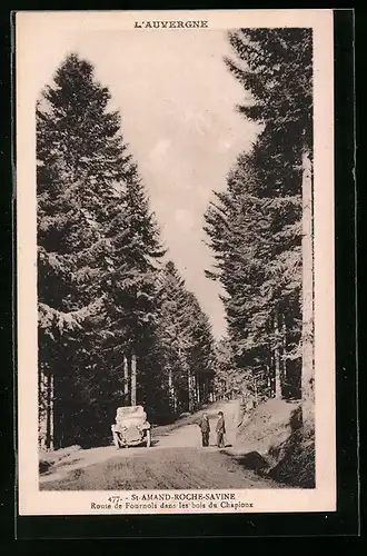 AK St-Amand-Roche-Savine, Route de Fournols dans les bois du Chapioux