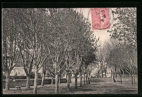 AK Saint-Marcel-d`Ardèche, Place Pellegrin