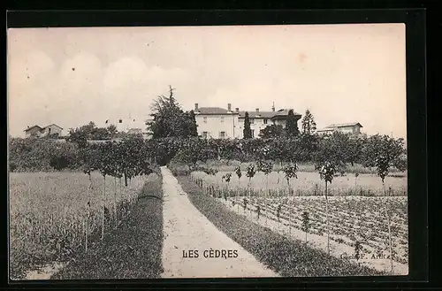AK Les Cèdres, Ortspanorama von der Landstrasse aus