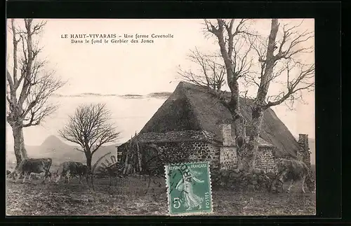 AK Le Haut-Vivarais, Une ferme Grevenolle, Dans le fond le Gerbier des Joncs