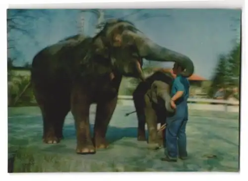 3D-AK Elefantenmutter mit Jungem und Wärter