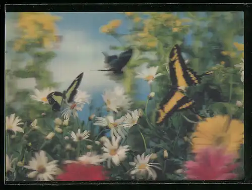 3D-AK Schmetterlinge und Blumen