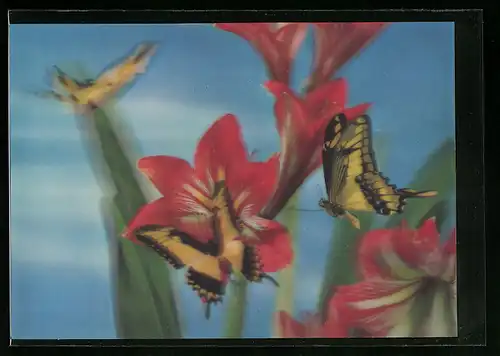 3D-AK Schmetterlinge an roten Lilien