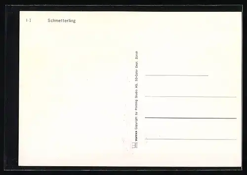 3D-AK Schmetterlinge an roten Lilien