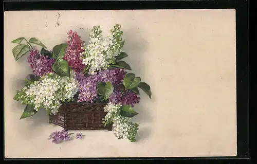 Künstler-AK Meissner & Buch (M&B) Nr. 2341: Flieder in einem Körbchen