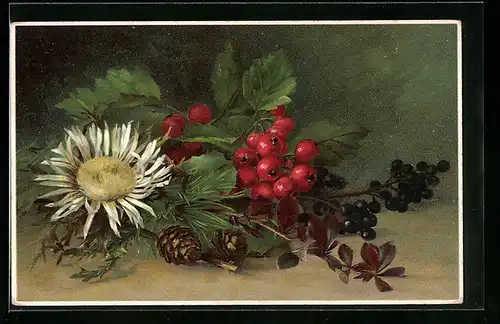 Künstler-AK Meissner & Buch (M&B) Nr. 1548: Herbstliches Blumenstilleben
