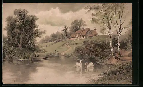 Künstler-AK Meissner & Buch (M&B) Nr. 1189: Schwäne in einem Weiher
