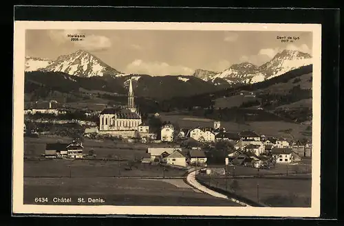 AK Châtel St. Denis, Ortsansicht mit Moleson und Dent de Lys