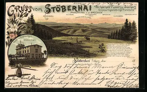 Lithographie Stöberhai /Harz, Panorama n. d. Brocken, Hotel u. Restaurant Stöberhai
